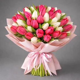51 бело-розовый тюльпан